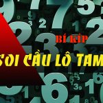 nhận xs bạch thủ lô miền bắc VIP